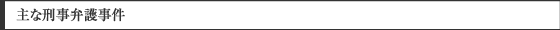 主な刑事弁護事件