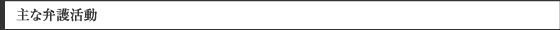 主な弁護活動